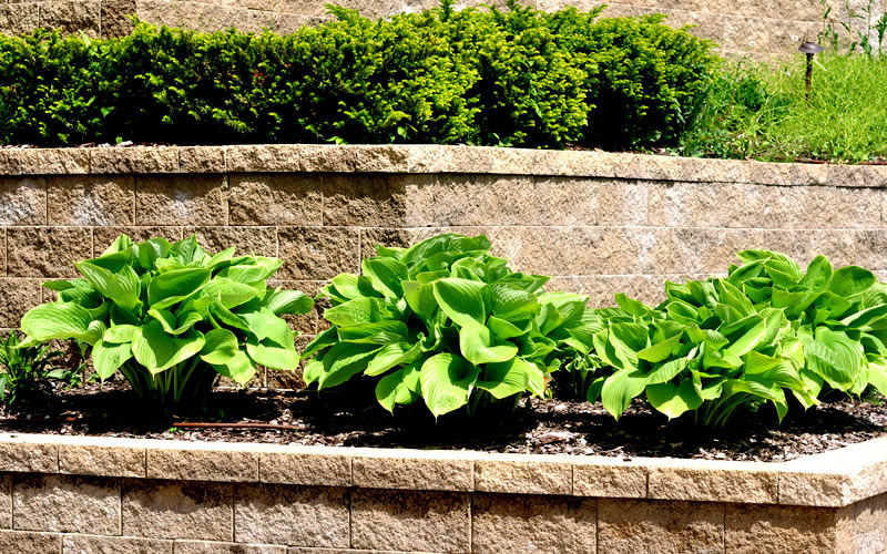 Lightning Landscape - NH Best Commercial Hardscape & Masonry Experts Lightning Landscape - NH Best Commercial Hardscape & Masonry Experts